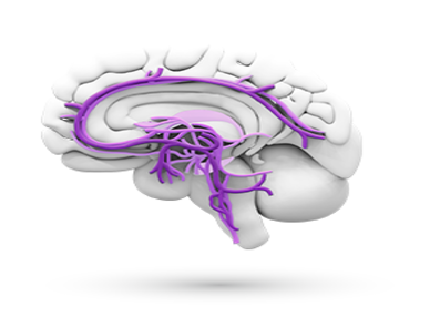 Κοινωνική Αγχώδης Διαταραχή