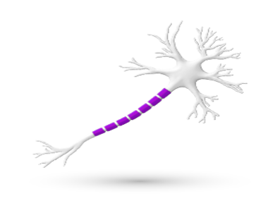 Νευροπαθητικός Πόνος