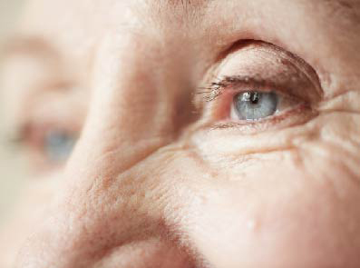 Μηχανισμός Δράσης